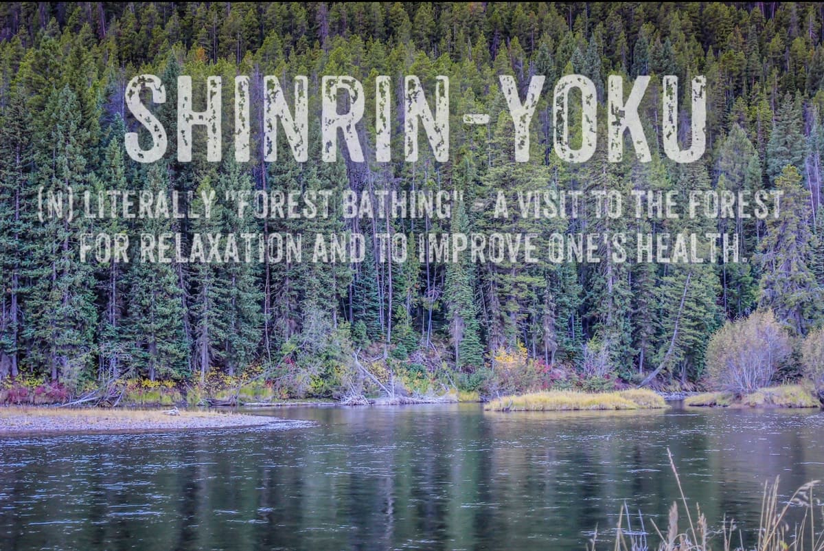 Shinrin-Yoku